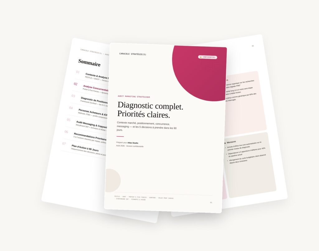 Exemple de rapport d'audit marketing stratégique livré en PDF